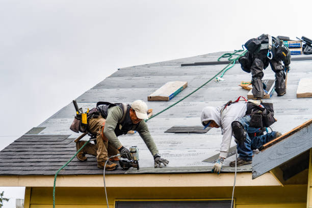 Professional Roof Replacement technician working in Bridport, VT